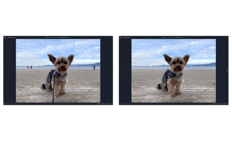 Windows Photos kriegt KI-Löschfunktion