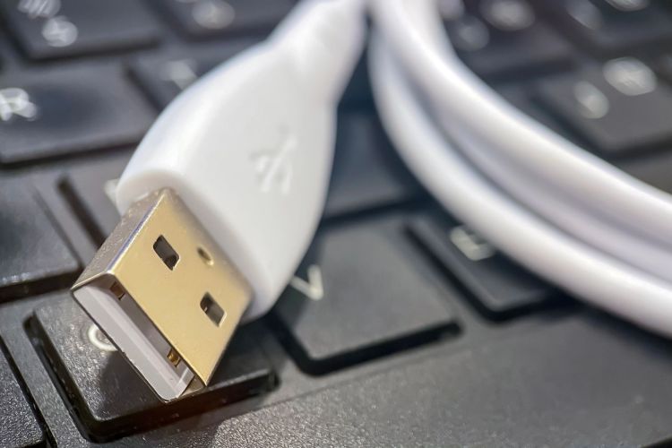 Windows 11 24H2 sorgt für Probleme mit USB-Scannern und -Druckern