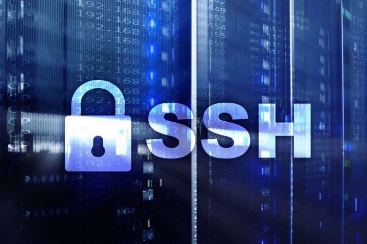 Jahrealte Schwachstellen in OpenSSH entdeckt